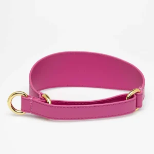 Haiwan Hot Pink Leather Martingale