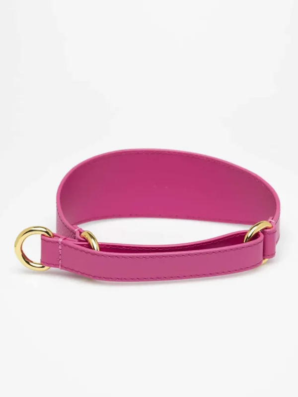 Haiwan Hot Pink Leather Martingale