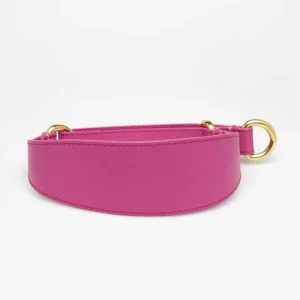 Haiwan Hot Pink Leather Martingale