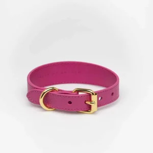 Haiwan Hot Pink Thin Leather Collar