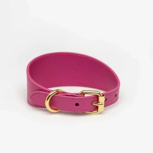 Haiwan Hot Pink Wide Leather Collar