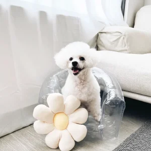 Haiwan Inflatable Daisy Lounge