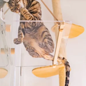 Haiwan Invisible Cat Hammock