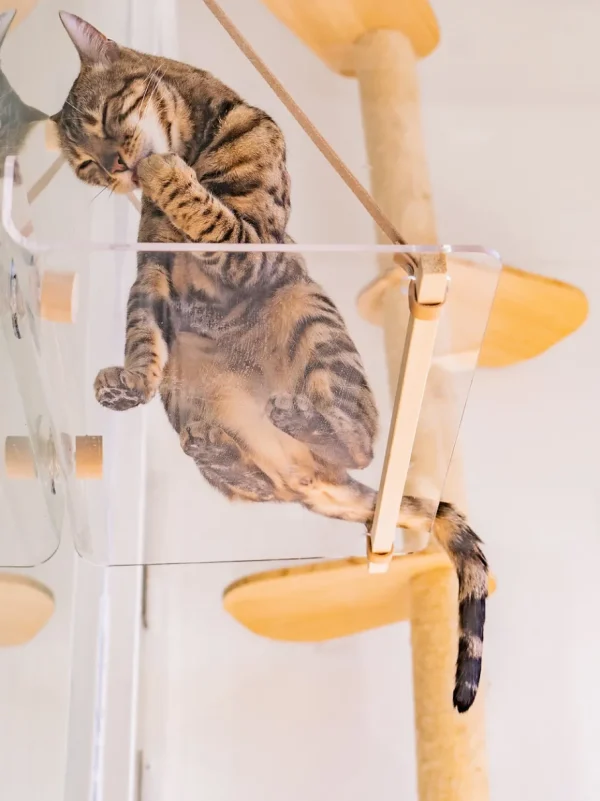 Haiwan Invisible Cat Hammock