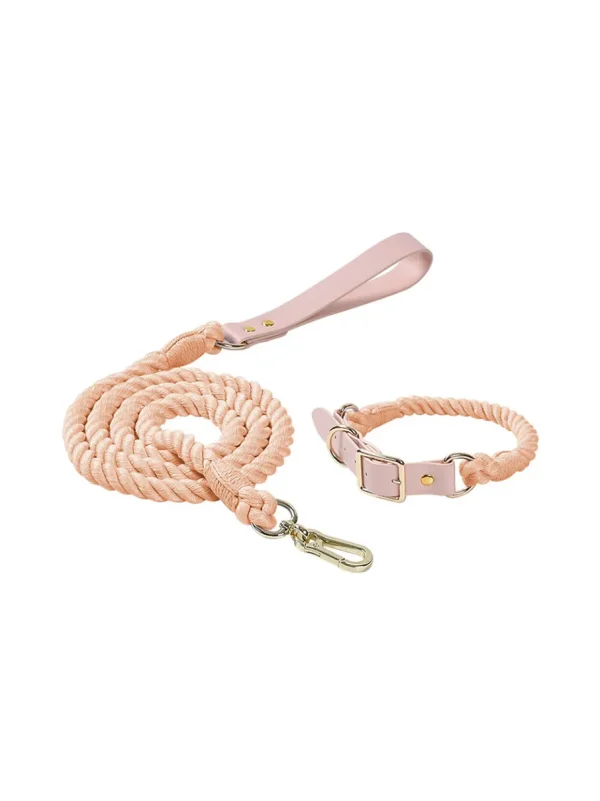 Haiwan KAPAS Collar & Leash Set (Pink)