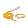 Haiwan KAPAS Collar & Leash Set (Yellow)