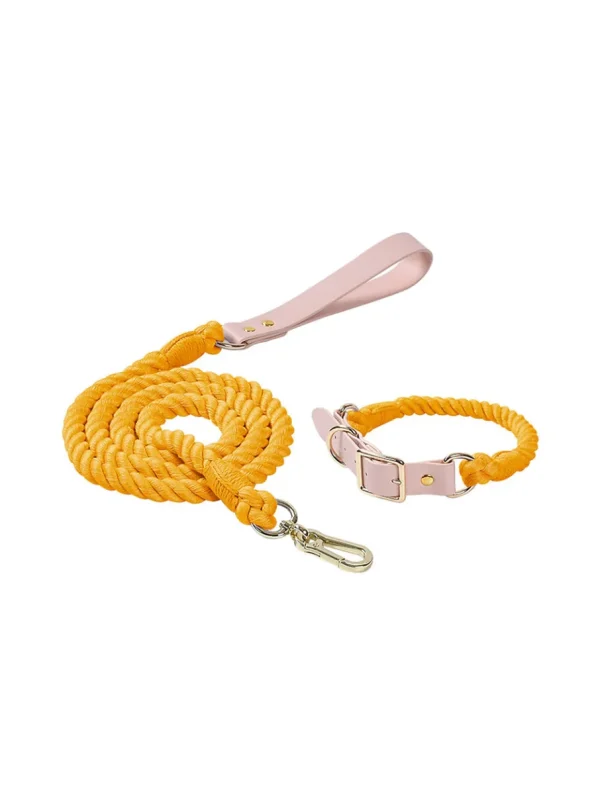 Haiwan KAPAS Collar & Leash Set (Yellow)