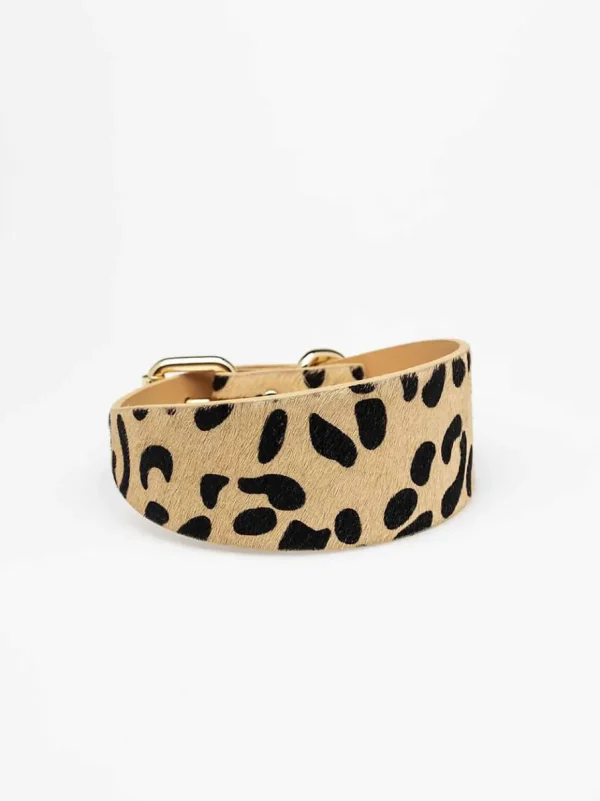 Haiwan Leopard Wide Leather Collar