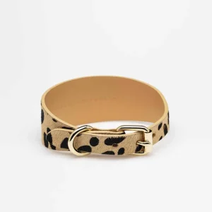 Haiwan Leopard Wide Leather Collar