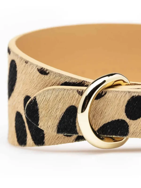 Haiwan Leopard Wide Leather Collar