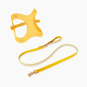 Haiwan LETA Harness & Leash Set (Yellow)