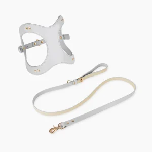 Haiwan LETA Harness & Leash Set (Grey)