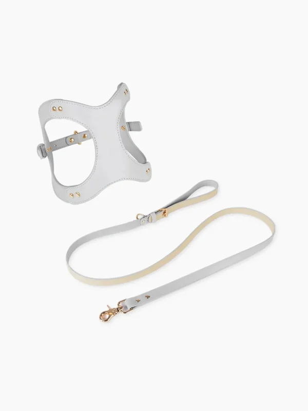 Haiwan LETA Harness & Leash Set (Grey)