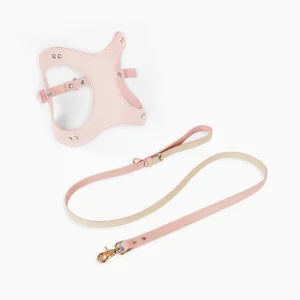 Haiwan LETA Harness & Leash Set (Pink)