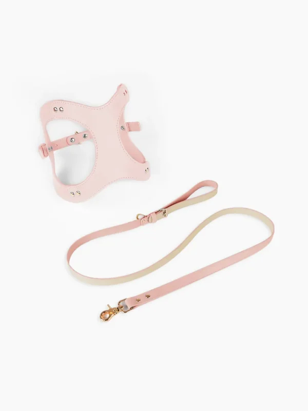 Haiwan LETA Harness & Leash Set (Pink)