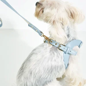 Haiwan LETA Harness & Leash Set (Grey)