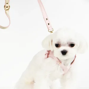 Haiwan LETA Harness & Leash Set (Pink)