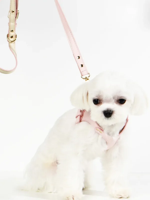 Haiwan LETA Harness & Leash Set (Pink)