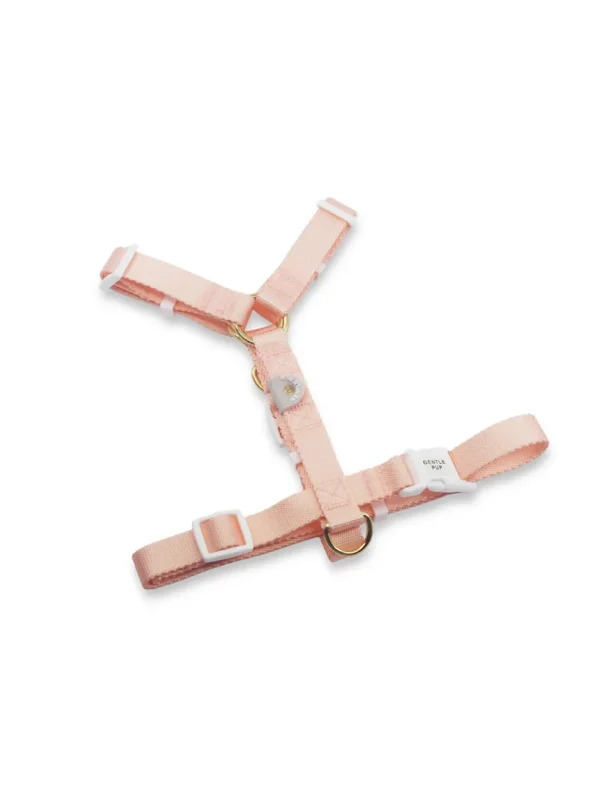 Haiwan Lite Maxi Harness (Camelia)