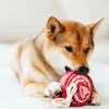 Haiwan LOLLIPOP Snuffle