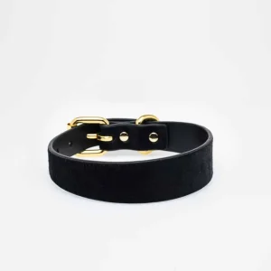 Haiwan Panther Thin Leather Collar