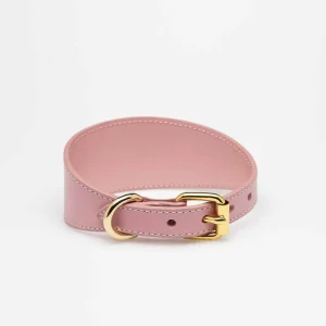 Haiwan Pink Wide Leather Collar