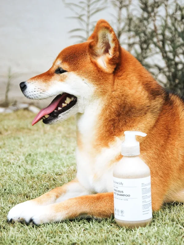 Haiwan Precious Pet Shampoo