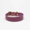 Haiwan Purple Thin Leather Collar