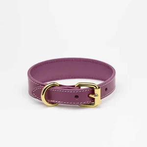 Haiwan Purple Thin Leather Collar