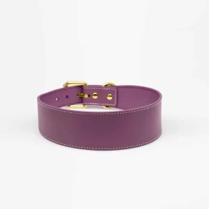 Haiwan Purple Wide Leather Collar