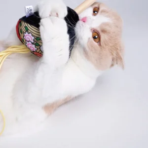 Haiwan Ramen Cat Teaser with Catnip