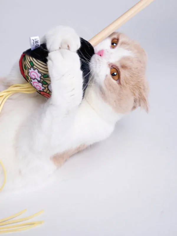 Haiwan Ramen Cat Teaser with Catnip