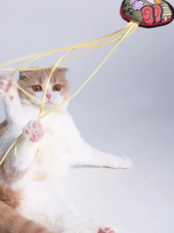 Haiwan Ramen Cat Teaser with Catnip