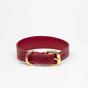 Haiwan Red Thin Leather Collar