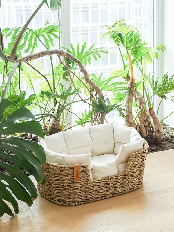 Haiwan ROTA Nest (L)