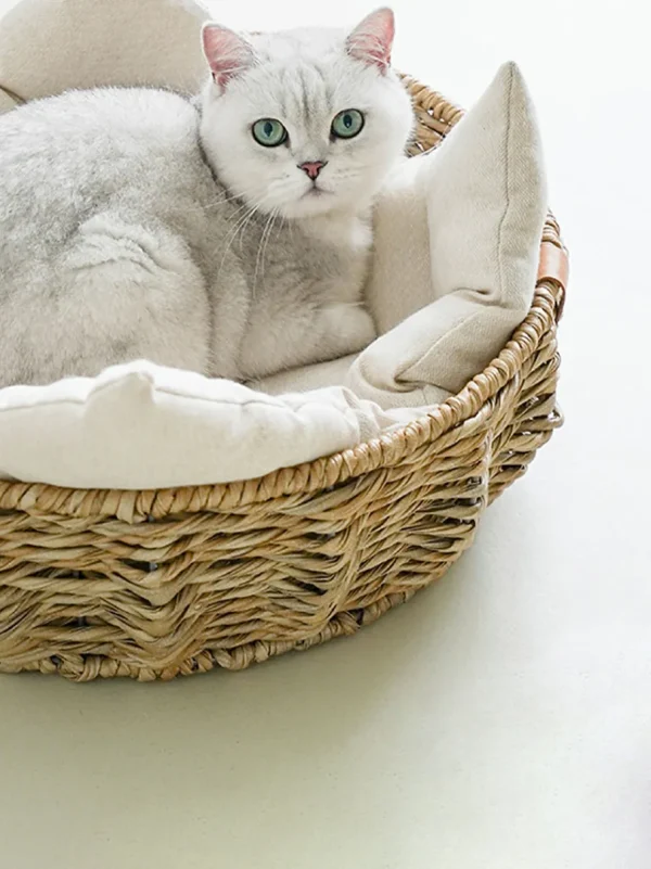 Haiwan ROTA Nest (S)