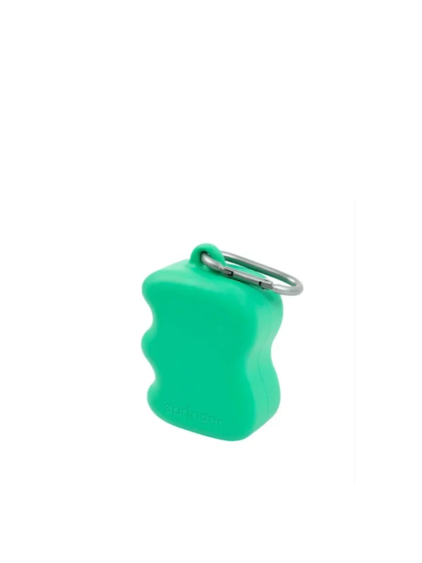 Haiwan Silicone Dog Treat Dispenser (Springer Green)