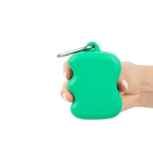 Haiwan Silicone Dog Treat Dispenser (Springer Green)