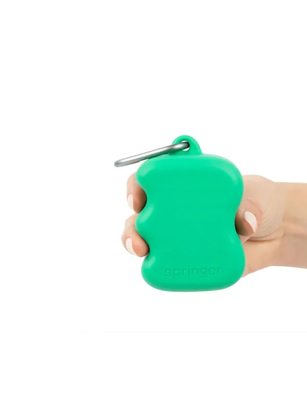 Haiwan Silicone Dog Treat Dispenser (Springer Green)