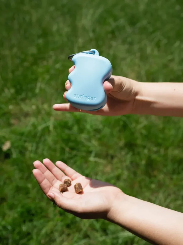 Haiwan Silicone Dog Treat Dispenser (Sky Blue)