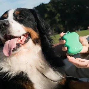 Haiwan Silicone Dog Treat Dispenser (Springer Green)