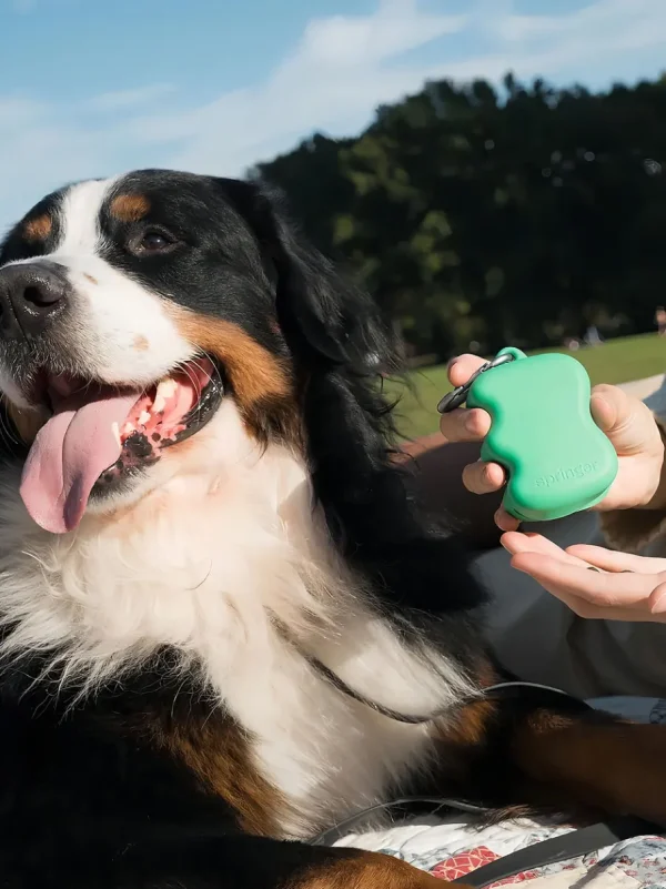 Haiwan Silicone Dog Treat Dispenser (Springer Green)