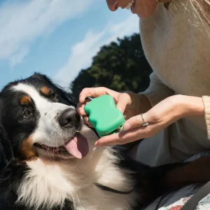 Haiwan Silicone Dog Treat Dispenser (Springer Green)