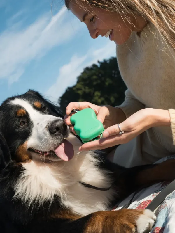 Haiwan Silicone Dog Treat Dispenser (Springer Green)