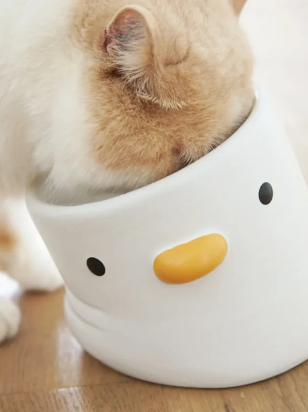 Haiwan Slanted Chicky Feeder