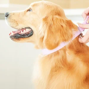 Haiwan Splash Collar