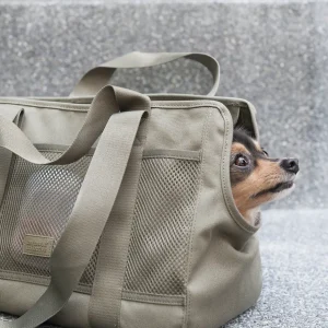 Haiwan SUBWAY Canvas Pet Carrier