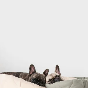 Haiwan TAART Reversible Donut Bed