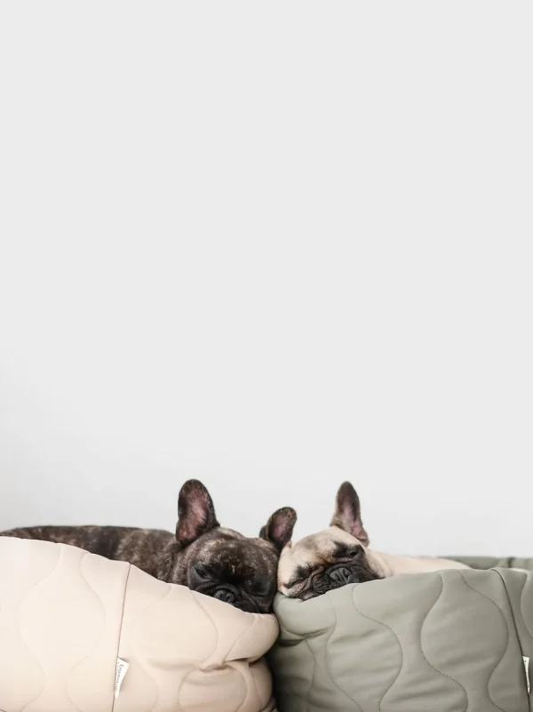 Haiwan TAART Reversible Donut Bed