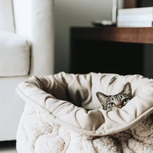 Haiwan TAART Reversible Donut Bed